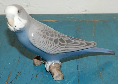 Figure of porcelain of budgerigar from B & G