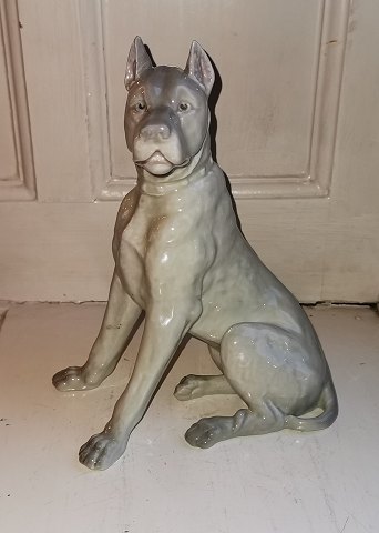 Grand Danois porcelæn figur af hund