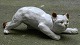 Stor figur af kat i lertøj