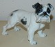Rosenthal figure of an English bulldog
Designed by Fritz Heidenreich in 1937
Marked on base with green Rosenthal Germany
Signed Heidenreich 
Stands 13 cm x 18 cm

