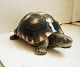 Skildpadde i porcelæn fra Royal Copenhagen