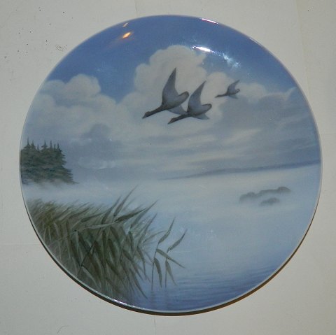 Kgl. Platte i porcelæn med kystmotiv og fugle