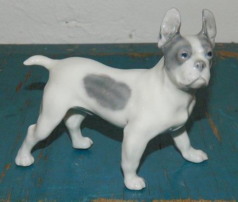 Kgl. figur i porcelæn af Boston Terrier