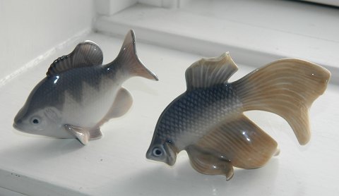 Par Kgl. fisk i porcelæn