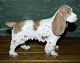 B&G figur Cocker Spaniel hund